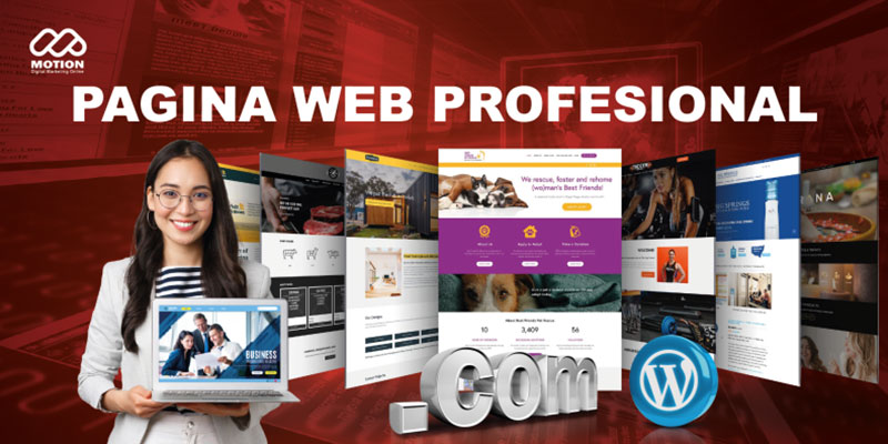 pagina-web-profesional-para-tu-negocio-NJ