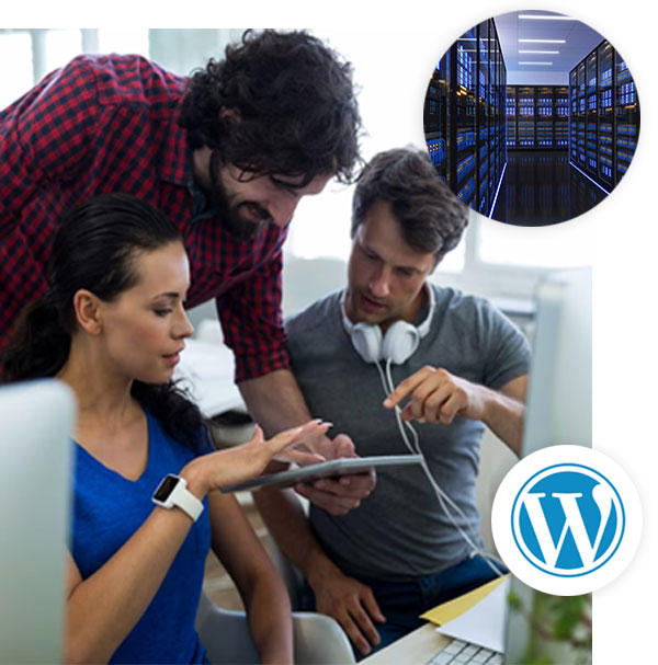 Alojamiento web economico y rápido en USA